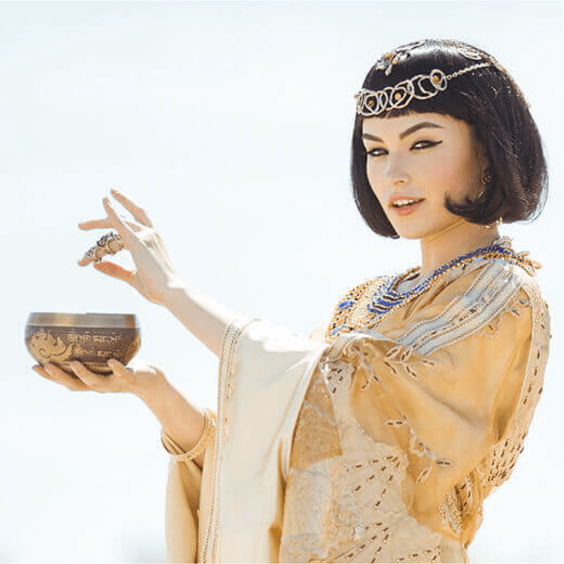 アロエベラの歴史